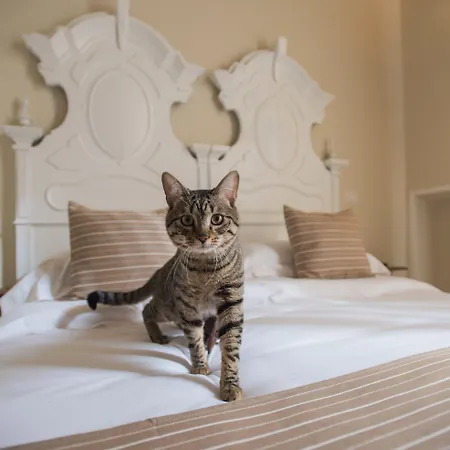 Palazzo Belsanti Bed & Breakfast