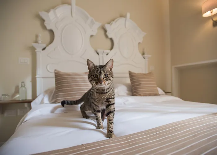 Palazzo Belsanti Bed & Breakfast